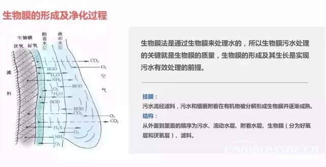
一文搞懂國內6大主流污水處理工藝！就知道空壓機的用途了