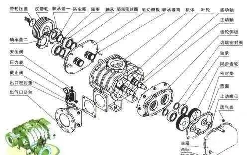 
羅茨風機結構及工作原理解剖圖！